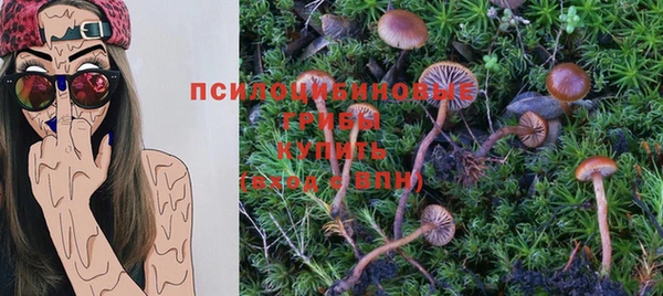 прущий лед Дмитровск