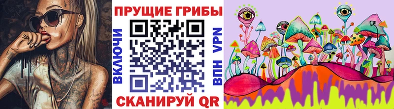 Купить  Комсомольск  Псилоцибиновые грибы Psilocybe 